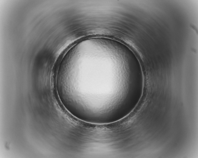 X0000100910983200807011239