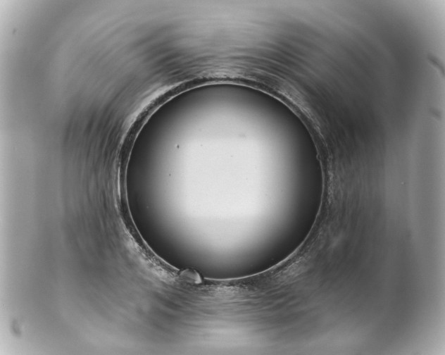 X0000100910984200807011239