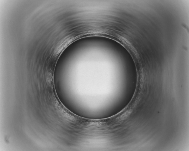 X0000100910985200807011239