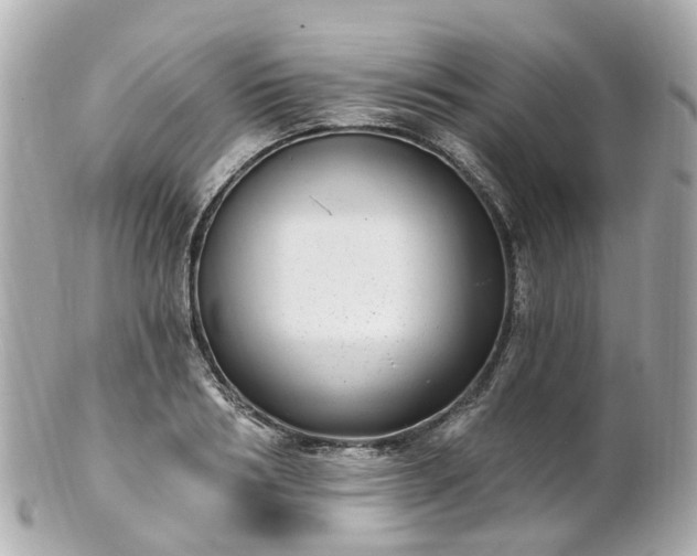 X0000100910986200807011239