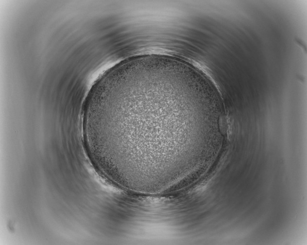 X0000100910987200807011239