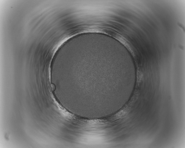 X0000100910988200807011239