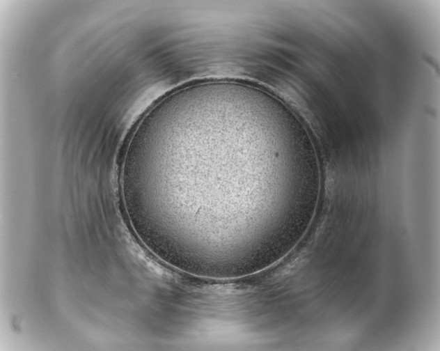 X0000100910990200807011239