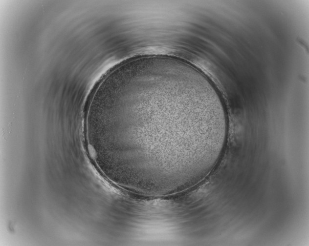 X0000100910992200807011239