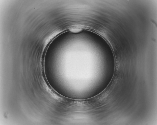 X0000100910995200807011239