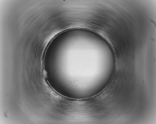 X0000100910996200807011239