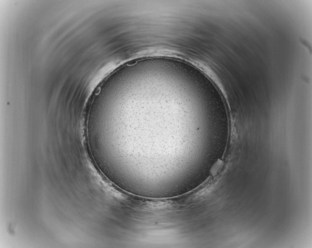 X0000100910997200807011239