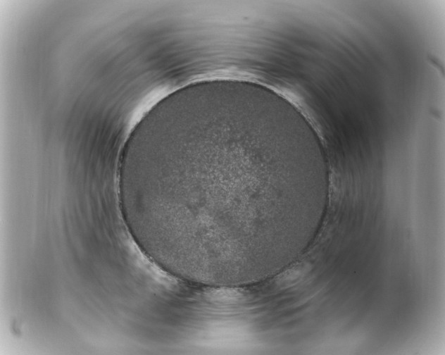 X0000100910998200807011239