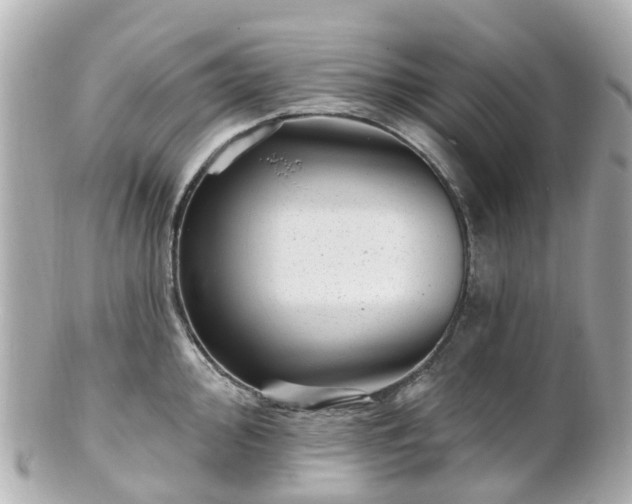 X0000100911000200807011239