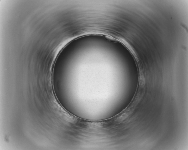X0000100911004200807011239
