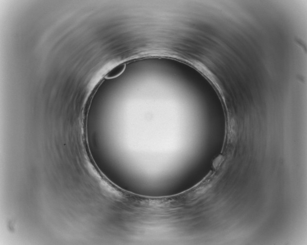 X0000100911005200807011239