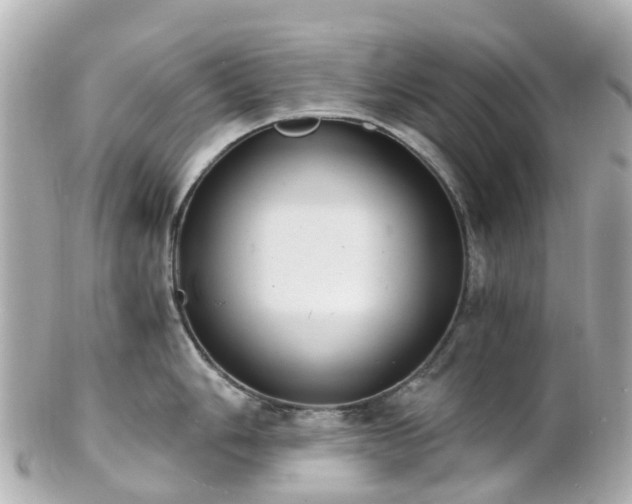 X0000100911006200807011239
