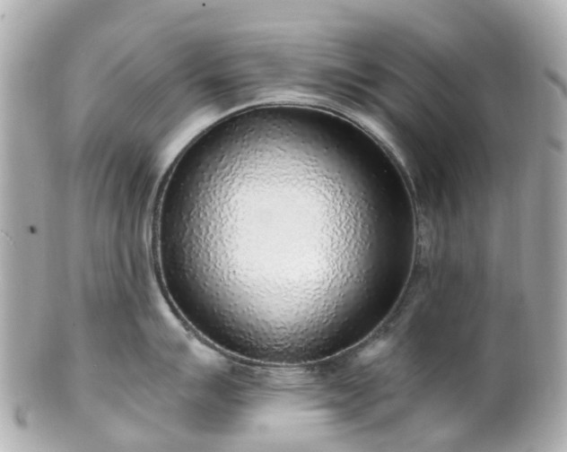 X0000100911007200807011239