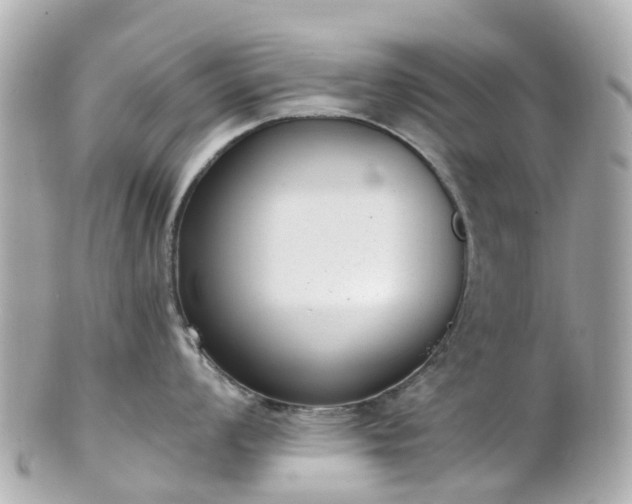 X0000100911008200807011239