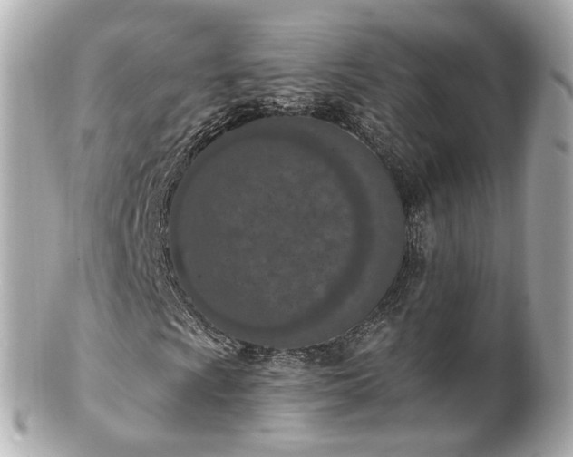 X0000100911009200807011238