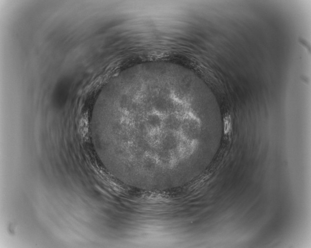 X0000100911011200807011238