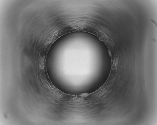 X0000100911012200807011238