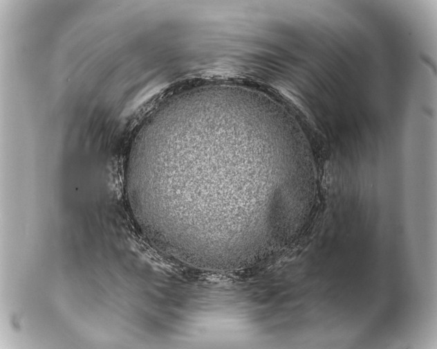 X0000100911015200807011238