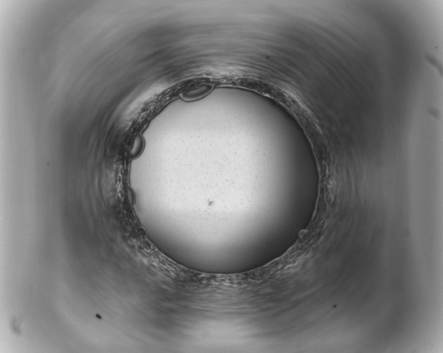 X0000100911016200807011238