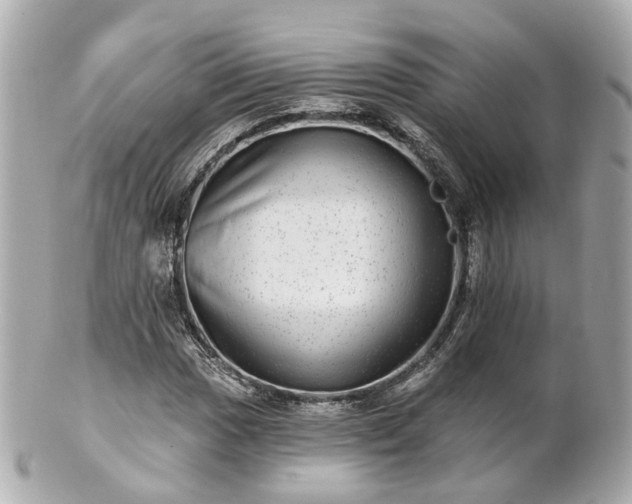 X0000100911017200807011238