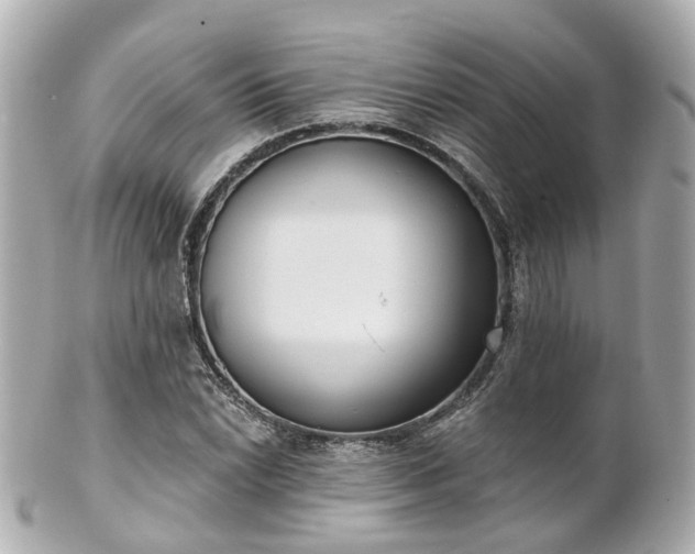 X0000100911022200807011239