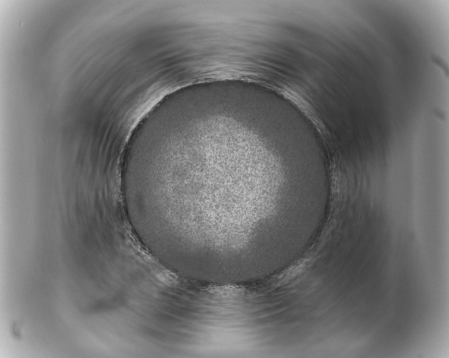 X0000100911023200807011239