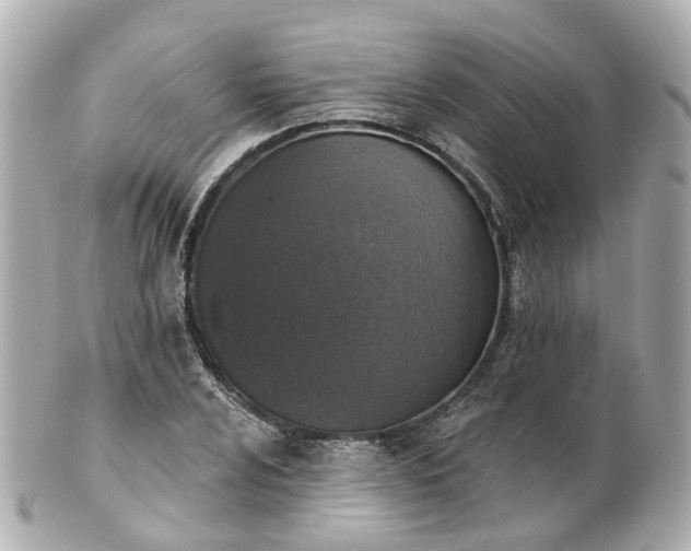 X0000100911024200807011239