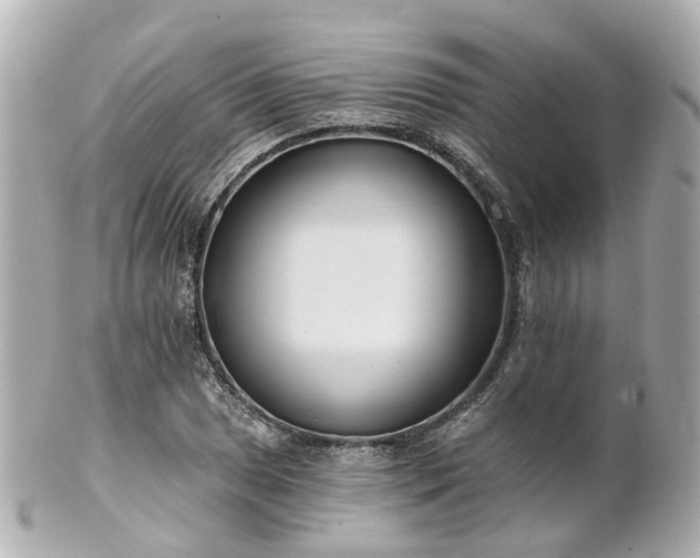 X0000100911025200807011239