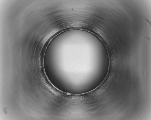 X0000100911026200807011239
