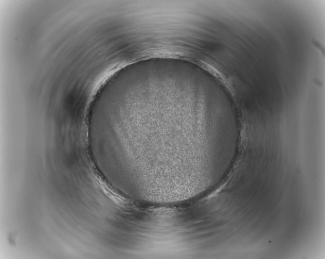 X0000100911027200807011239
