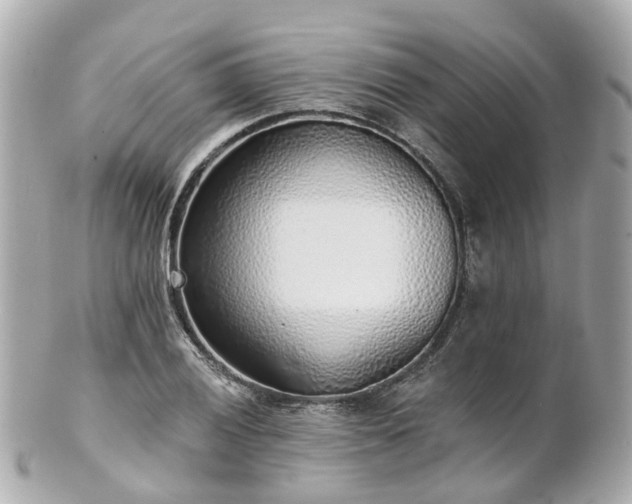 X0000100911028200807011239