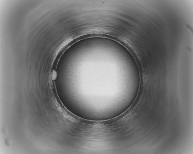 X0000100911029200807011239