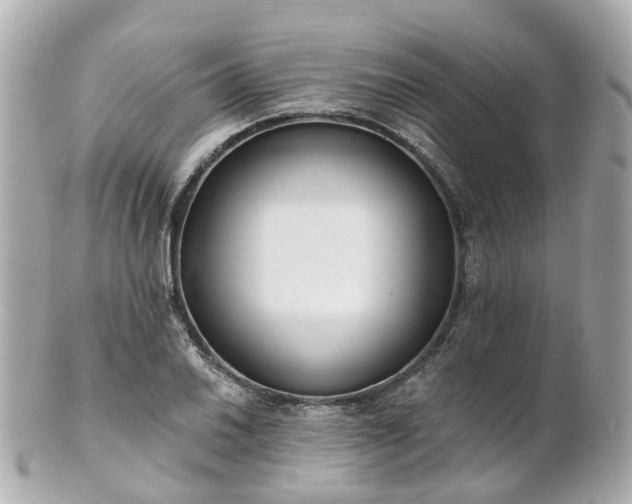 X0000100911030200807011239