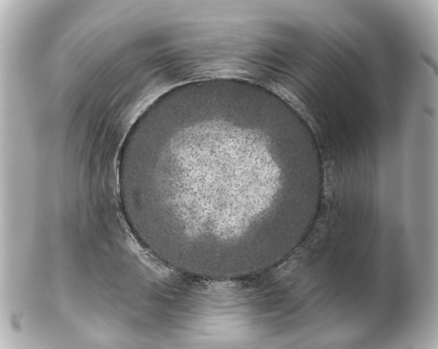 X0000100911031200807011239