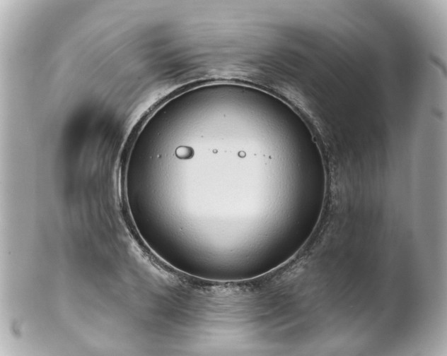 X0000100911032200807011239