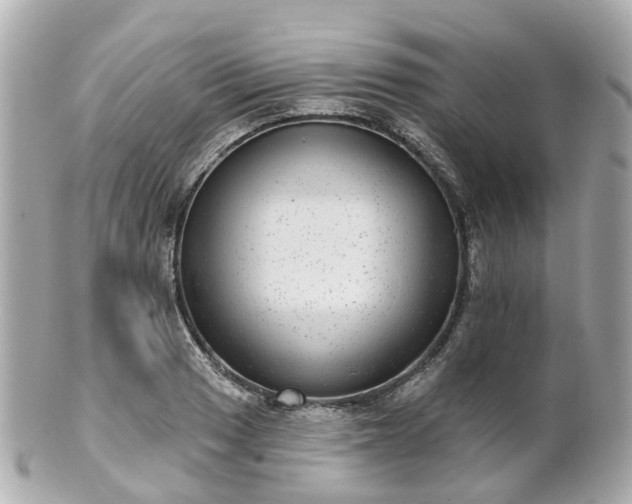X0000100911033200807011239