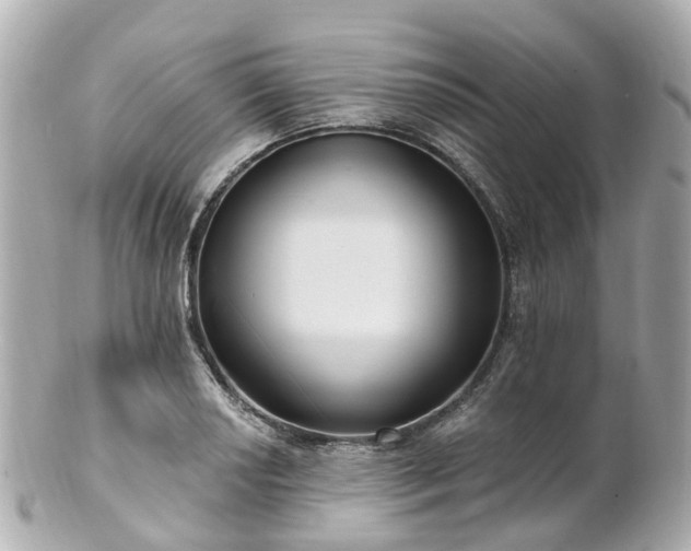 X0000100911034200807011239