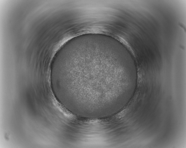 X0000100911035200807011239