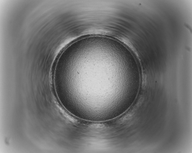 X0000100911037200807011239