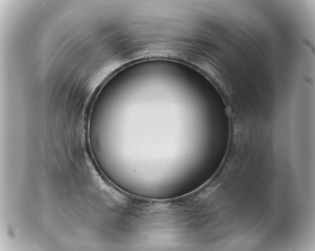 X0000100911038200807011239