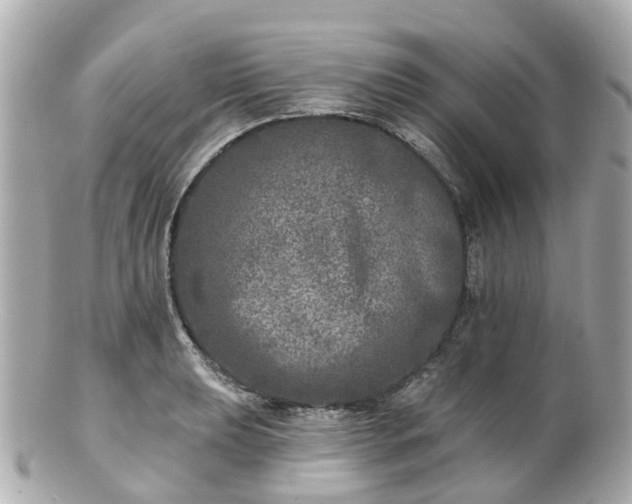 X0000100911039200807011239