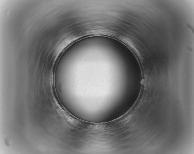 X0000100911040200807011239