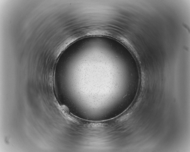 X0000100911041200807011239