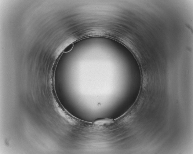 X0000100911042200807011239