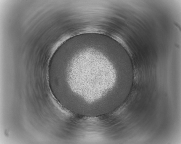 X0000100911043200807011239
