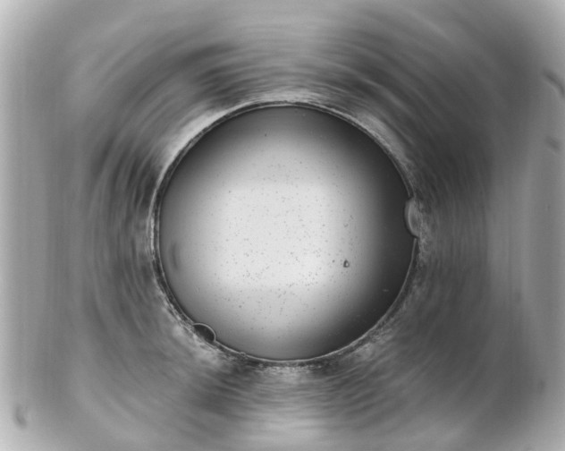 X0000100911044200807011239