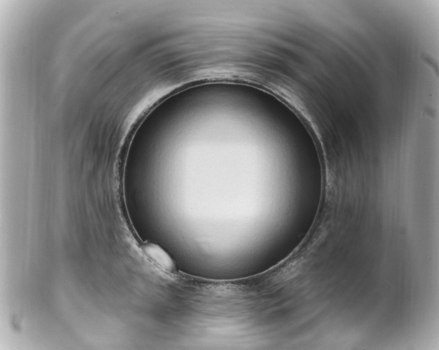 X0000100911045200807011239