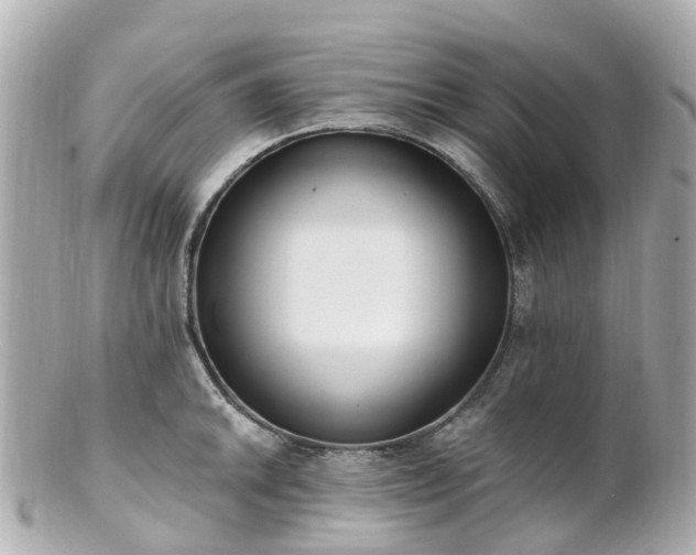 X0000100911046200807011239
