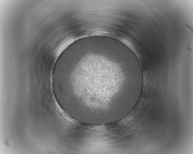 X0000100911047200807011239