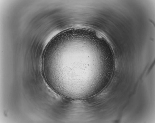 X0000100911048200807011239